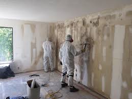 Biohazard Mold Removal in Leonville, LA